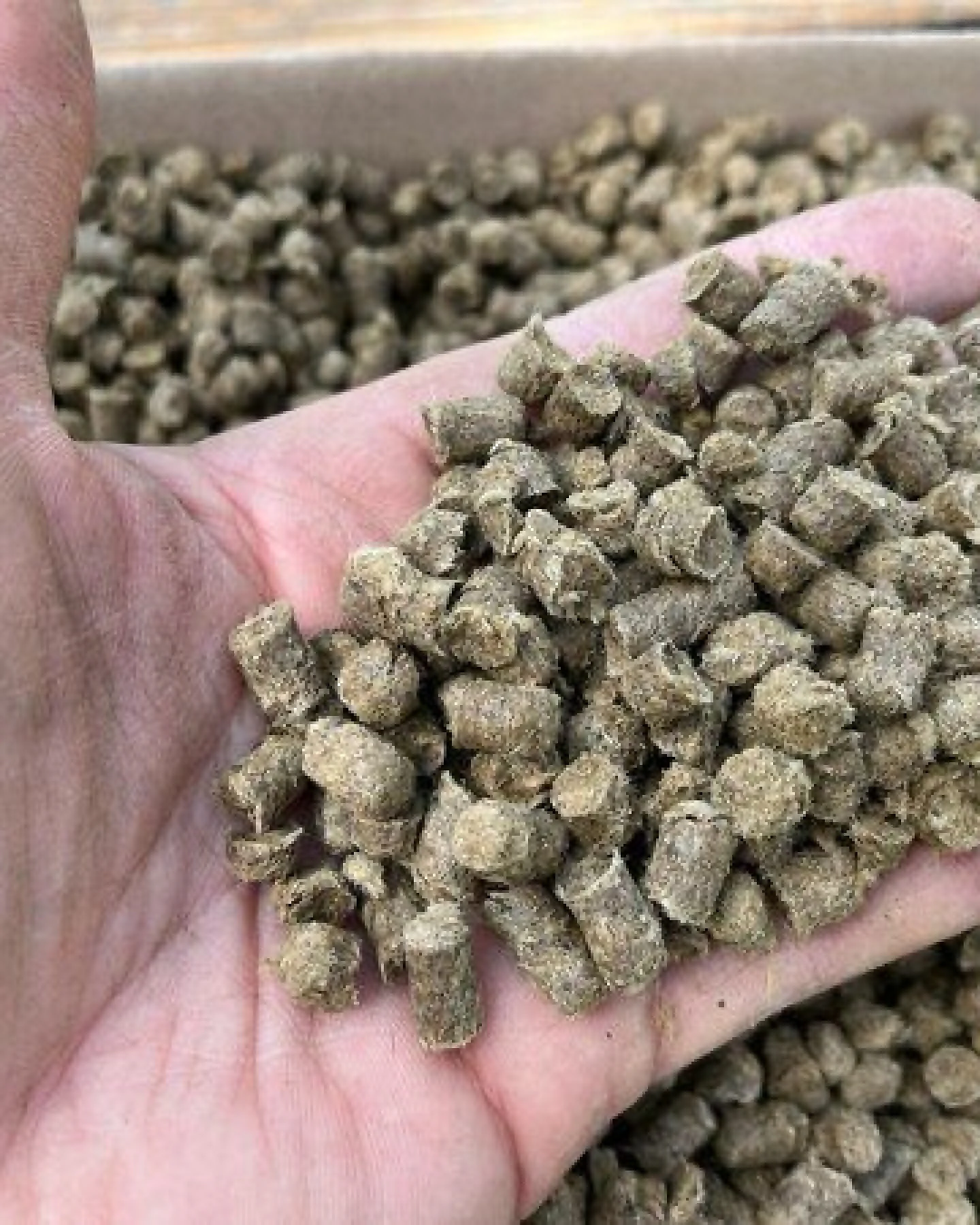 naturling Schafwollpellets Natur 3,5kg mit 250g Schafwolle - organischer Langzeitdünger im Kombipaket – Ansicht 3