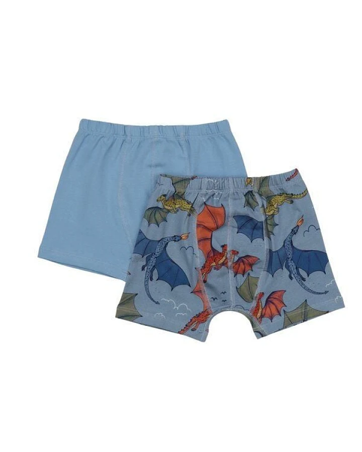 Boxershorts Hellblau Bunter Drache-Allover Bio-Baumwolle GOTS – Walkiddy