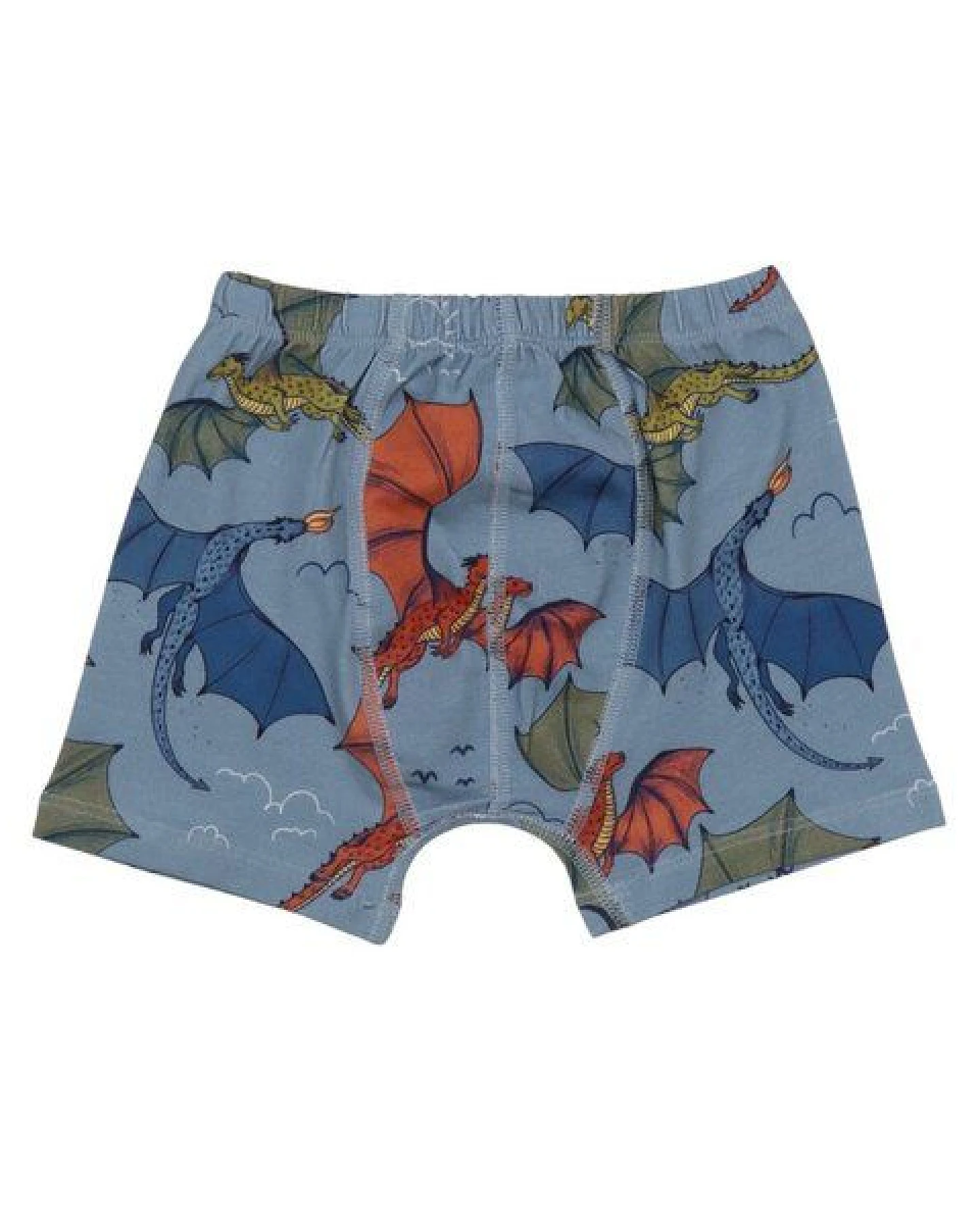 Boxershorts Hellblau Bunter Drache-Allover Bio-Baumwolle GOTS – Walkiddy – Ansicht 3