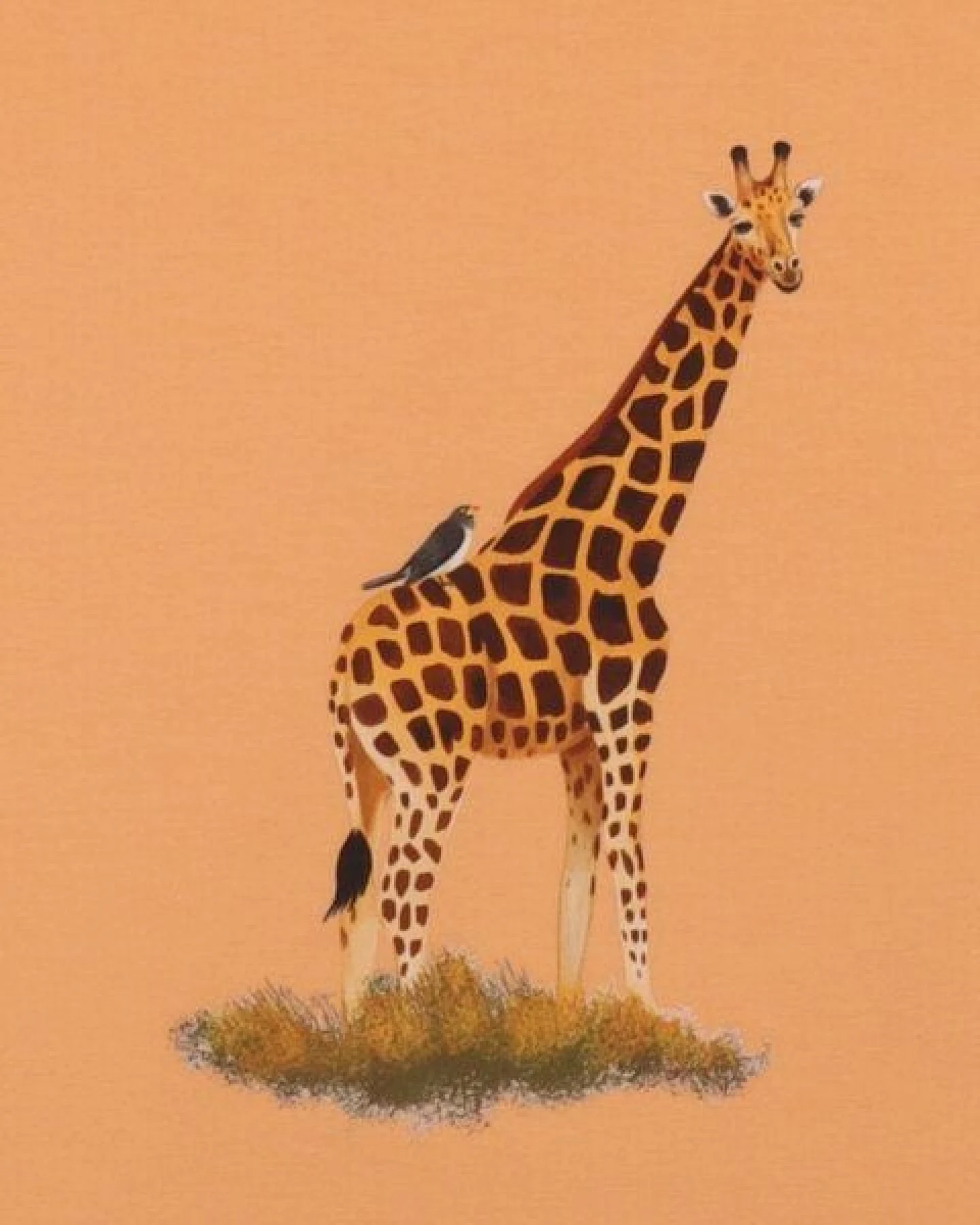T-Shirt Apricot Giraffe-Frontprint Bio-Baumwolle GOTS – Walkiddy – Ansicht 3