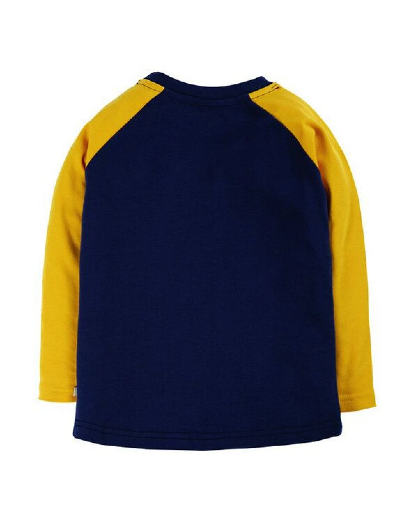 Frugi Langarm-Shirt Drachen in blau Alfie Raglan Top – Ansicht 3