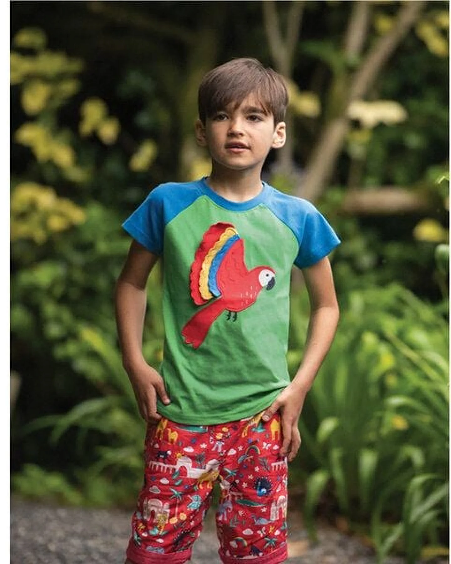 Frugi T-Shirt Papagei in grün-blau – Ansicht 2