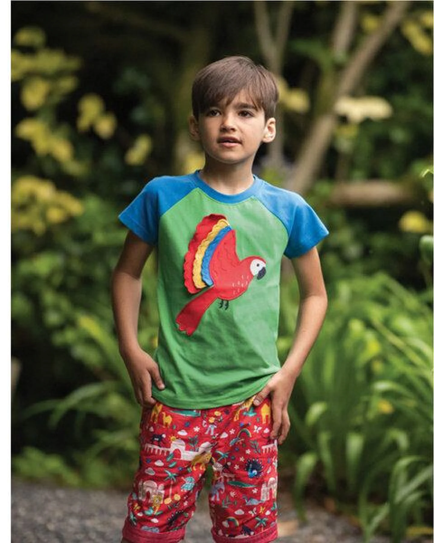 Frugi T-Shirt Papagei in grün-blau – Ansicht 2