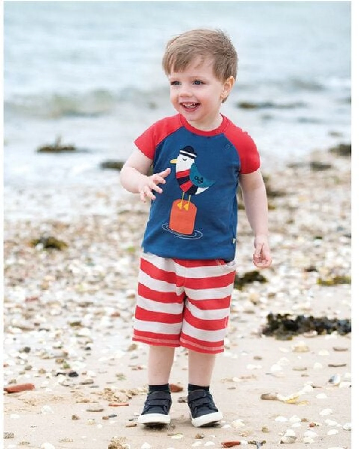 Frugi T-Shirt Möwe in blau-rot – Ansicht 2