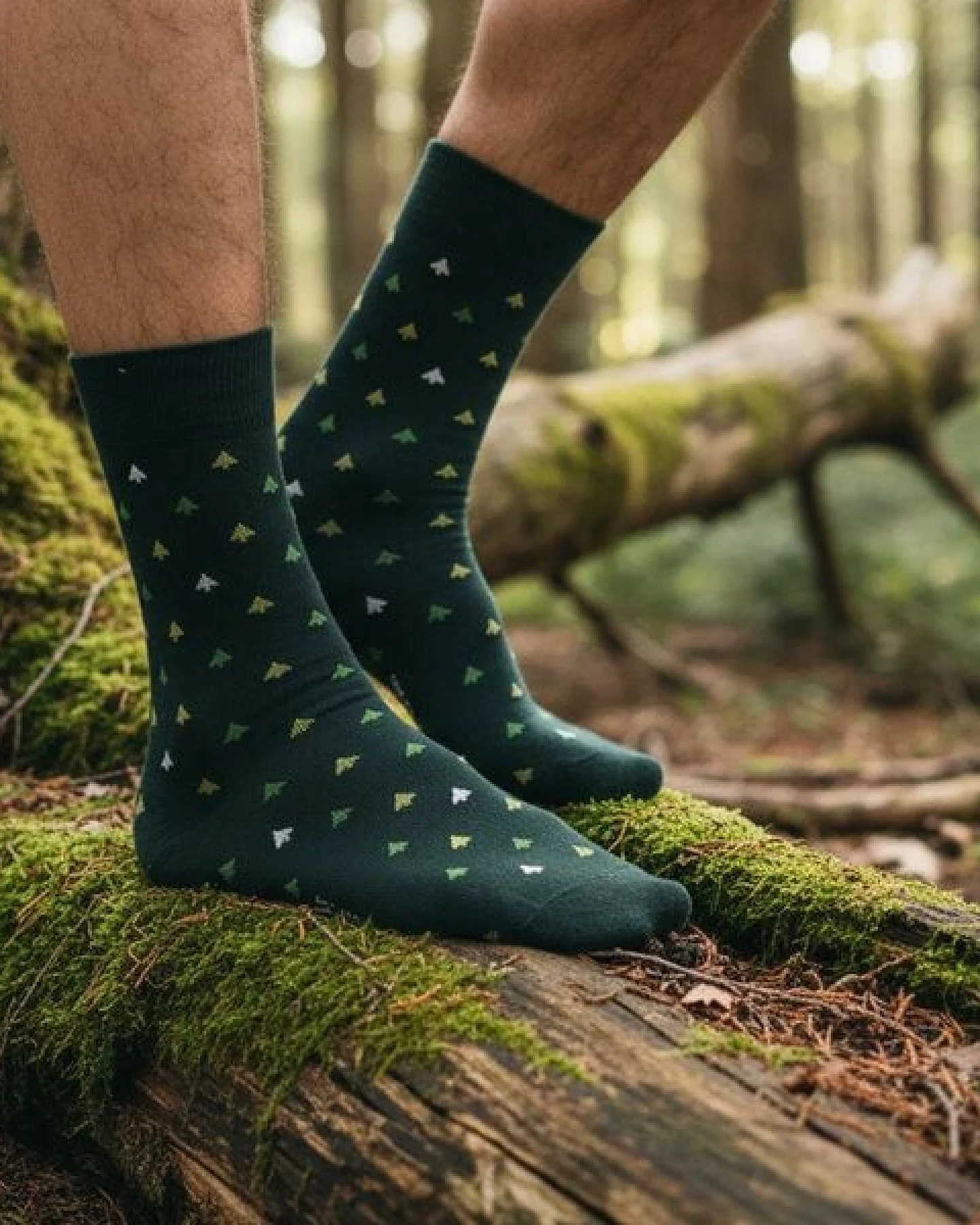 The Arctic Bay Baumwollsocken aus Bio-Baumwolle – Shinrin Edition (4er Set) – Ansicht 3