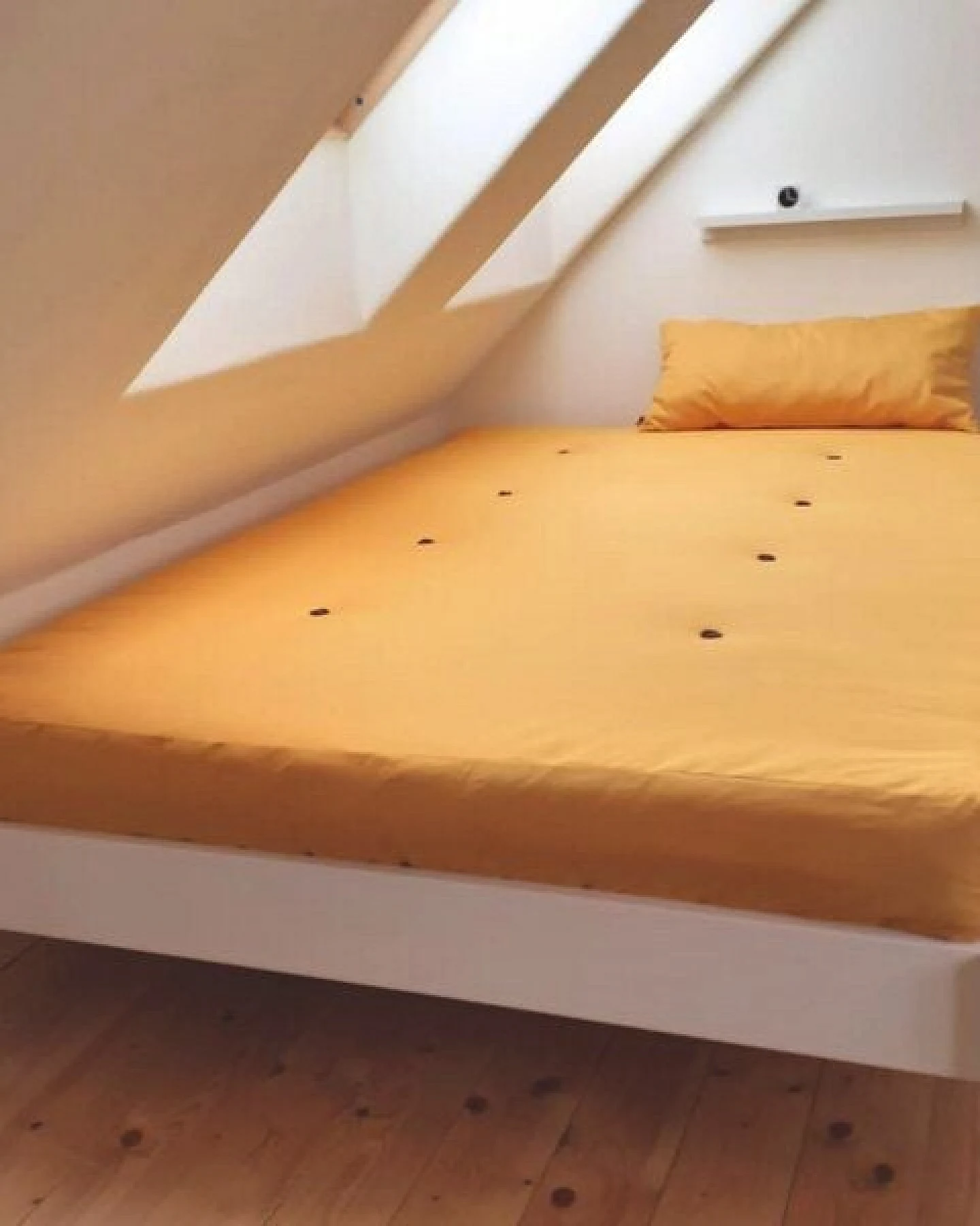 Oasia Manufaktur Roßhaar-Schurwoll-Baumwoll-Matratze (mittelfest) – Ansicht 4