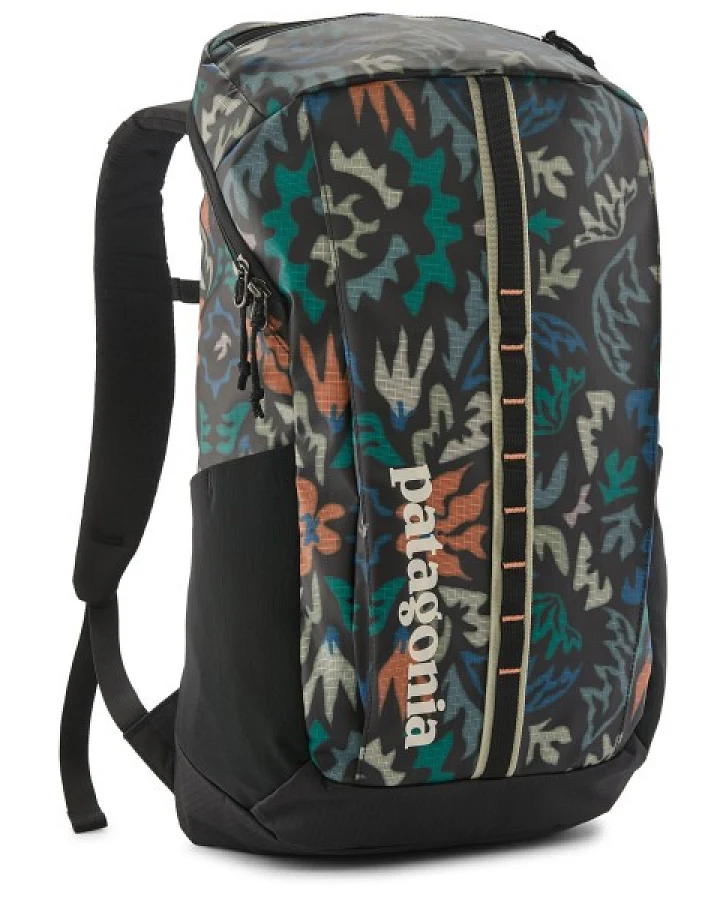 Patagonia - Black Hole Pack 25L - Daypack grau