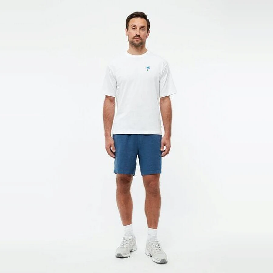 Blazing Blue (Linen)