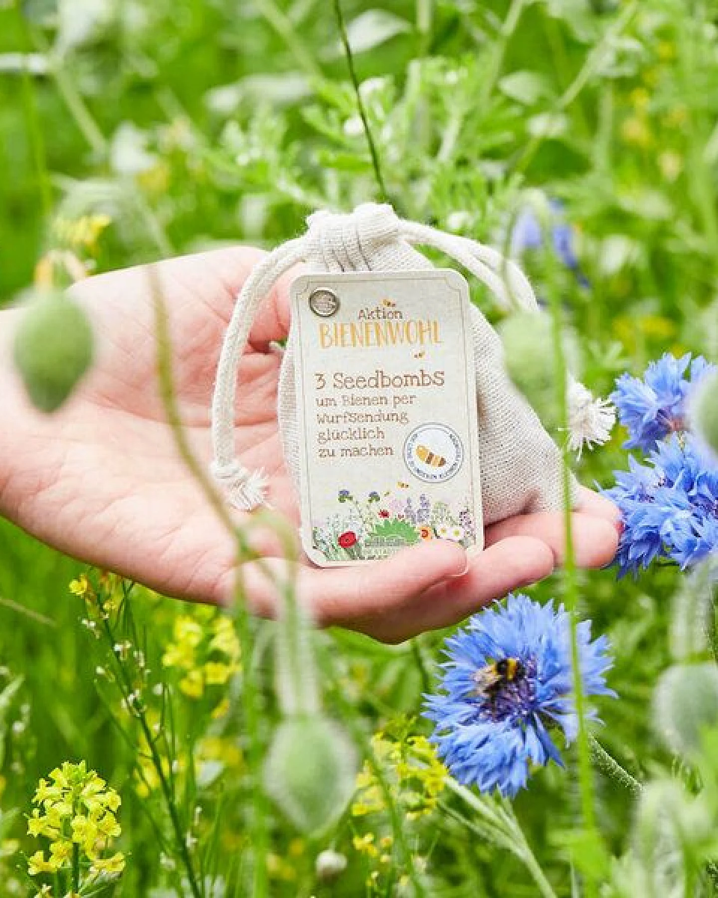 Die Stadtgärtner Bienenwohl-Samenbomben I 100% ökologisch & mindestens 2 Jahre haltbar – Ansicht 3