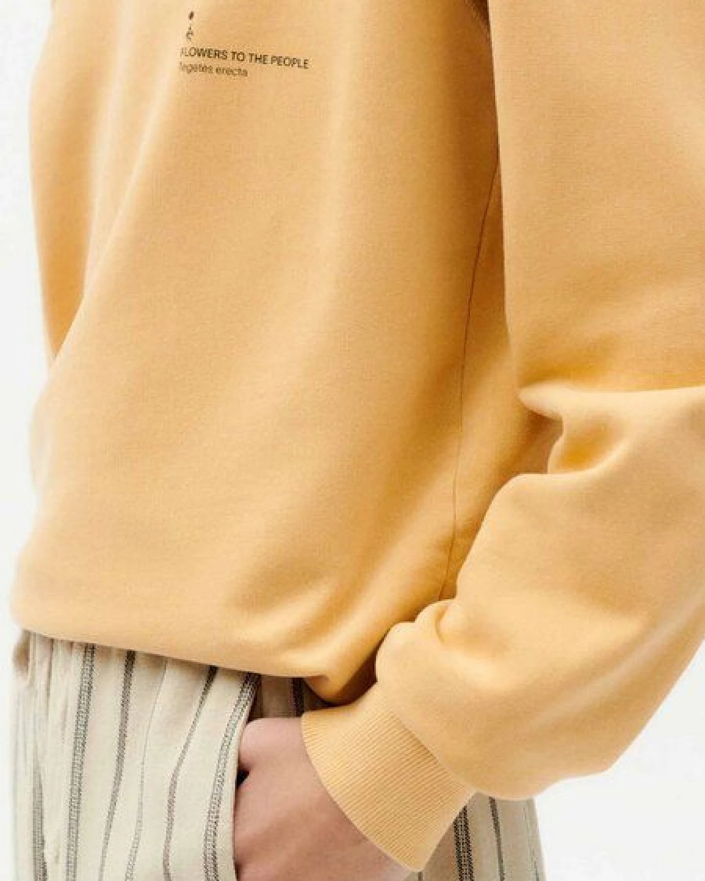 thinking mu Sweatshirt mit Rundhalsausschnitt - FTP - aus 100% biologisch angebauter Baumwolle – Ansicht 3
