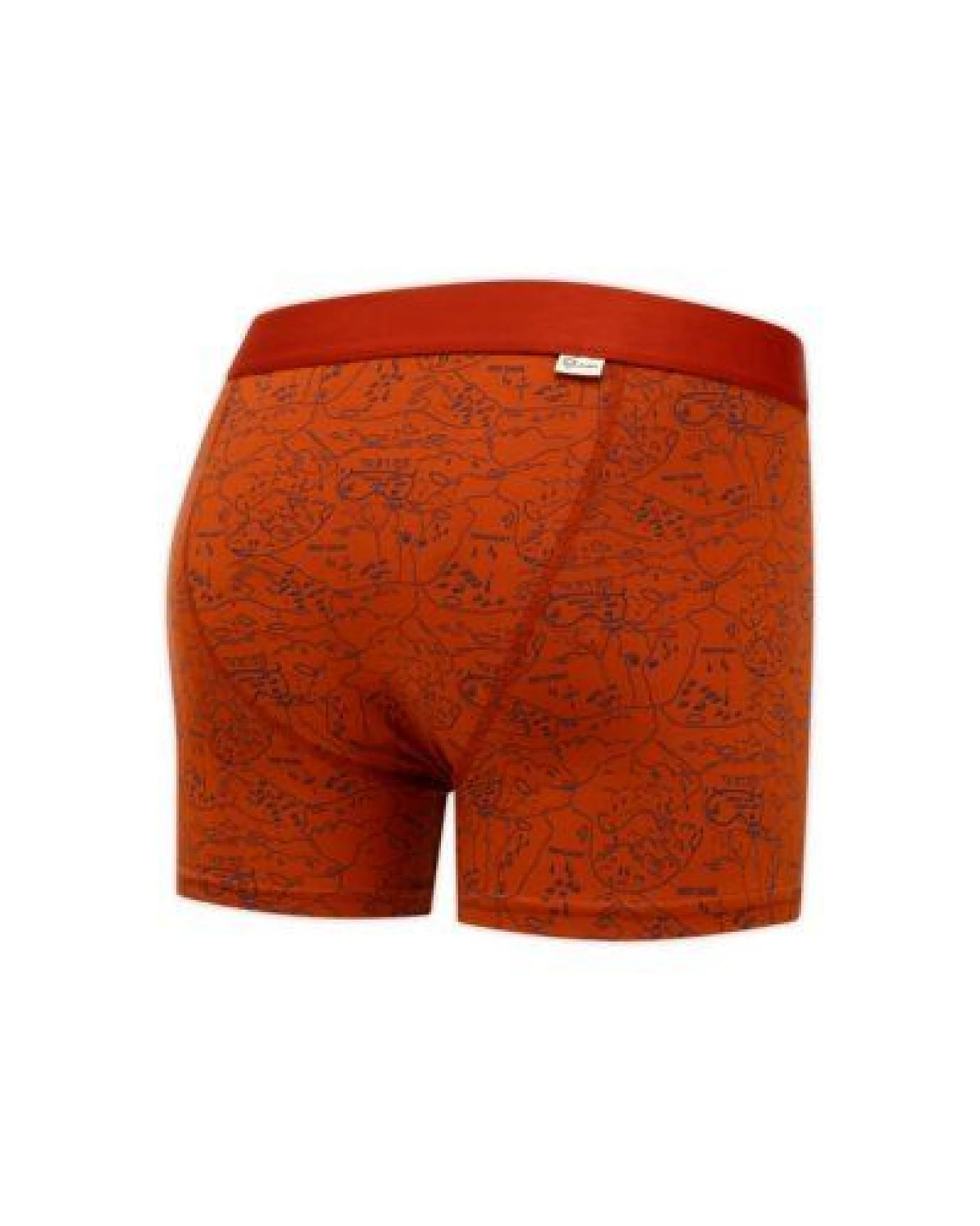 A-Dam Orangefarbene Boxer Briefs Ginger Scoutmap – Ansicht 2