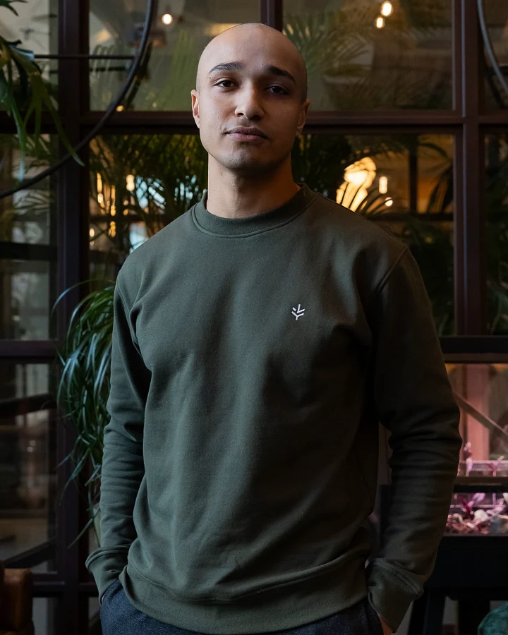 Lucid Collective Herren vegan Sweatshirt Just Jungle Grün