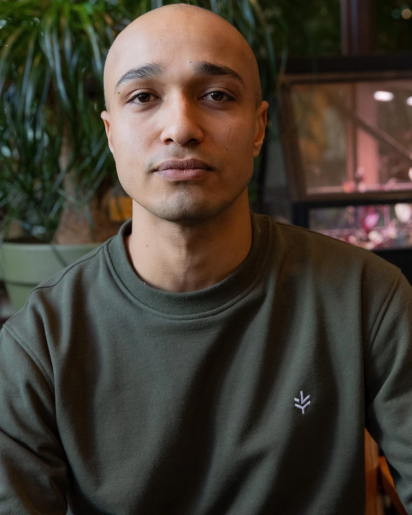 Lucid Collective Herren vegan Sweatshirt Just Jungle Grün – Ansicht 2