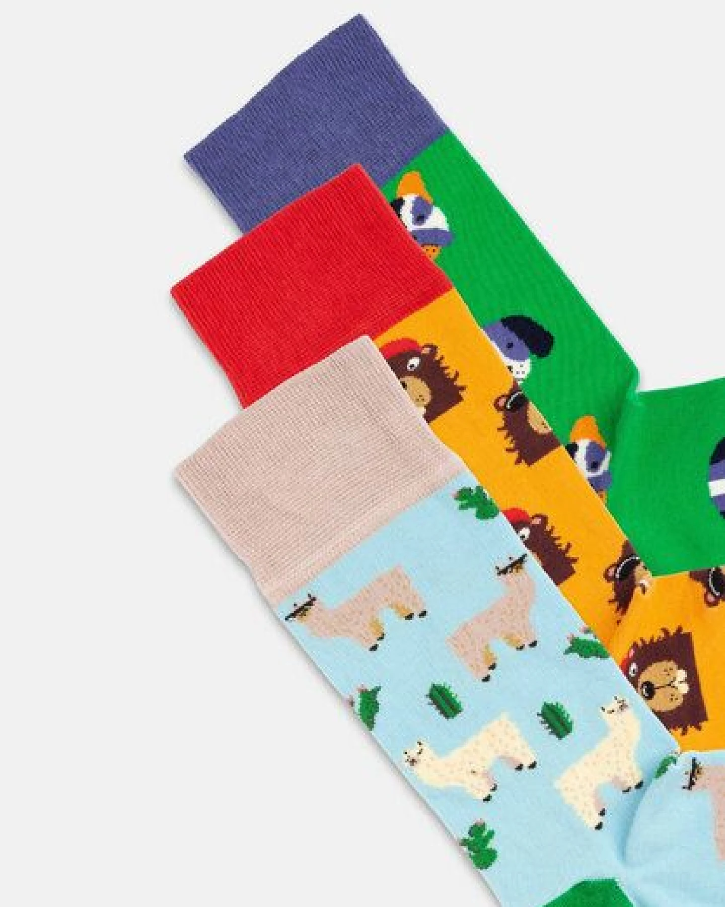 DillySocks Socken „Paws & Friends Mit Geschenkbox“ – Ansicht 3