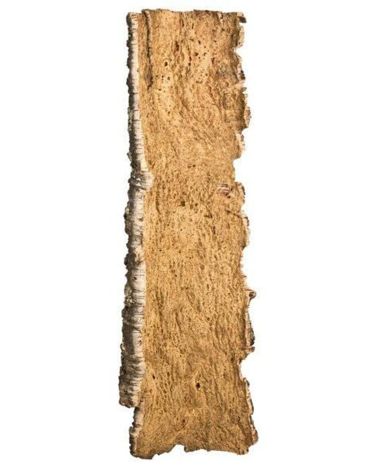 Kork-Deko Korkrinde: XXL Korkstück, 100 x 30 cm – Ansicht 3