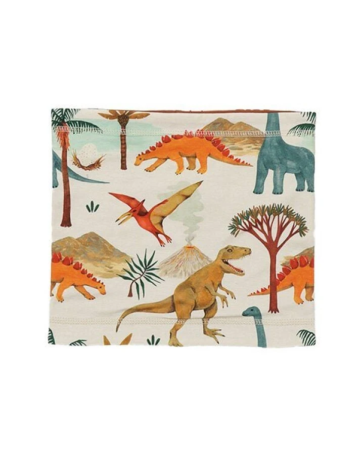Walkiddy Dinasaur World-Loop