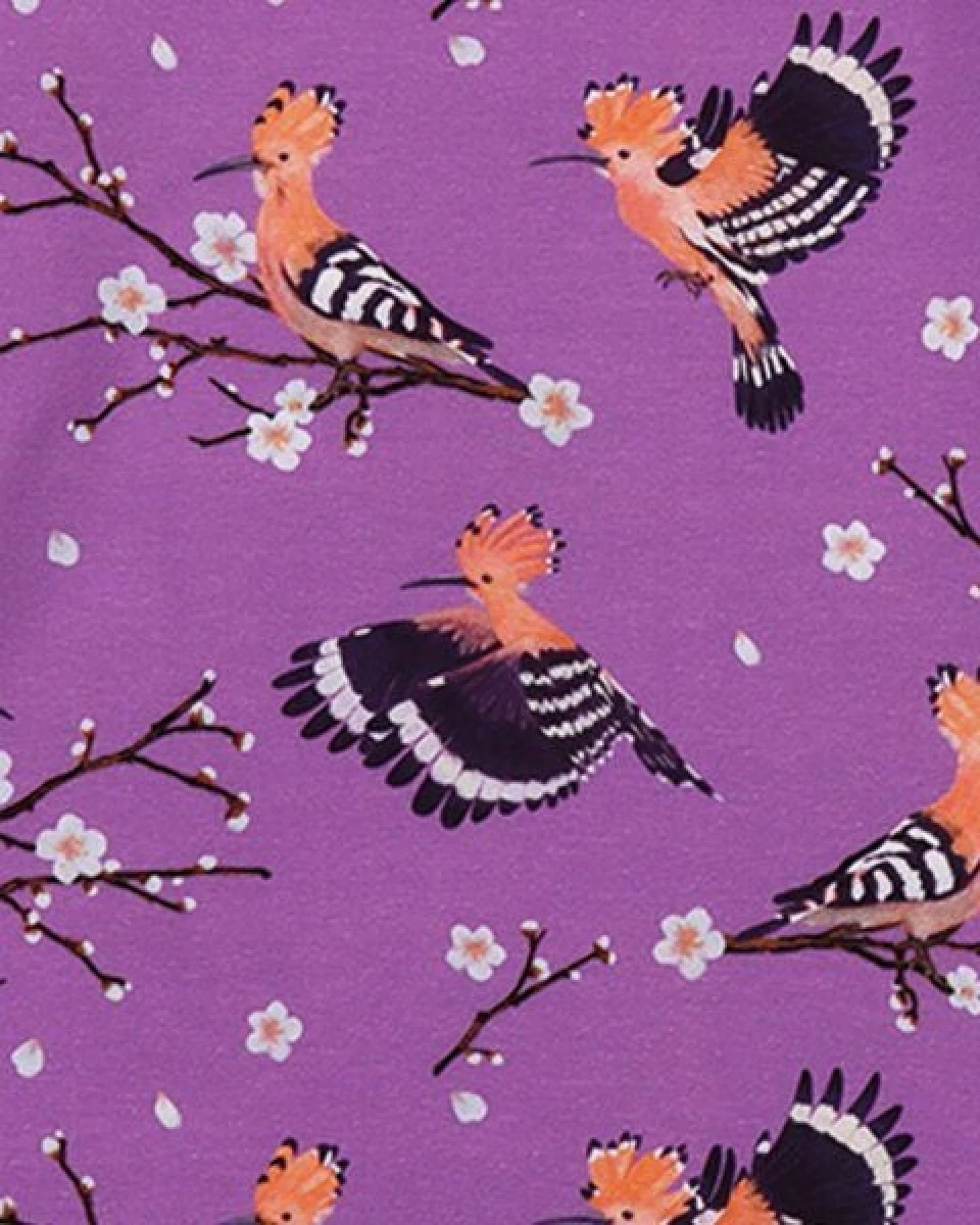Jogginghose Lila Happy Hoopoes Vögel-Allover Bio-Baumwolle GOTS – Walkiddy – Ansicht 4