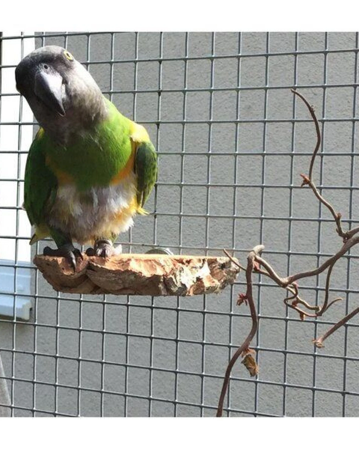 Kork-Deko 3er Set Vogel-Sitzbrettchen aus Naturkork-Rinde – Ansicht 3