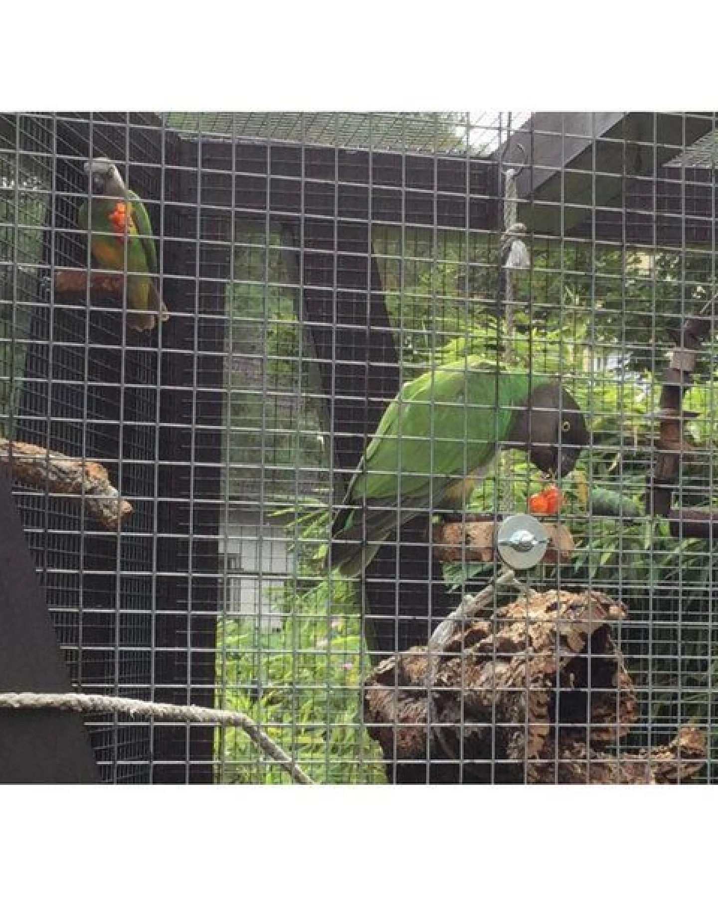 Kork-Deko 3er Set Vogel-Sitzbrettchen aus Naturkork-Rinde – Ansicht 4