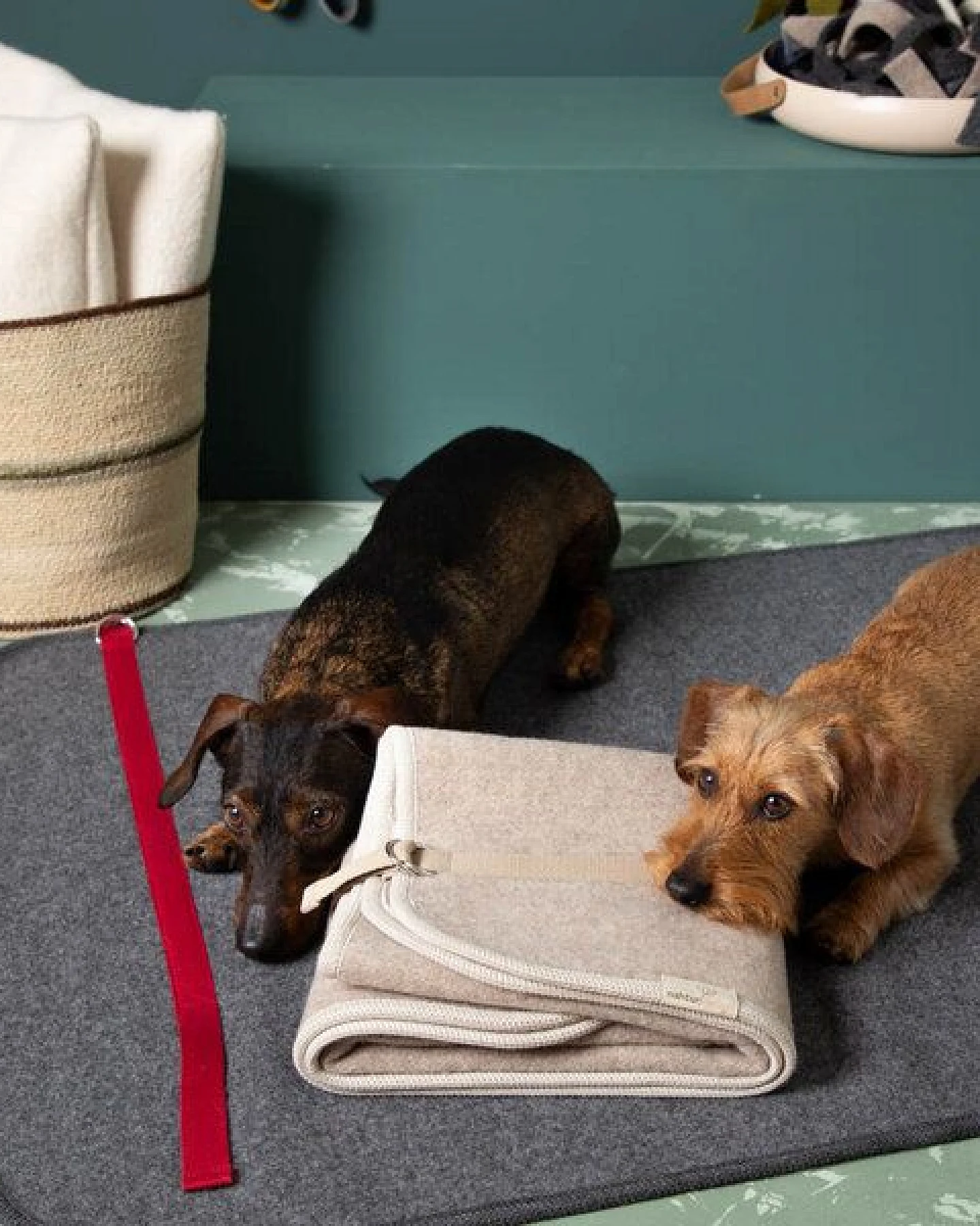 nahtur-design Hundematte – Ansicht 2