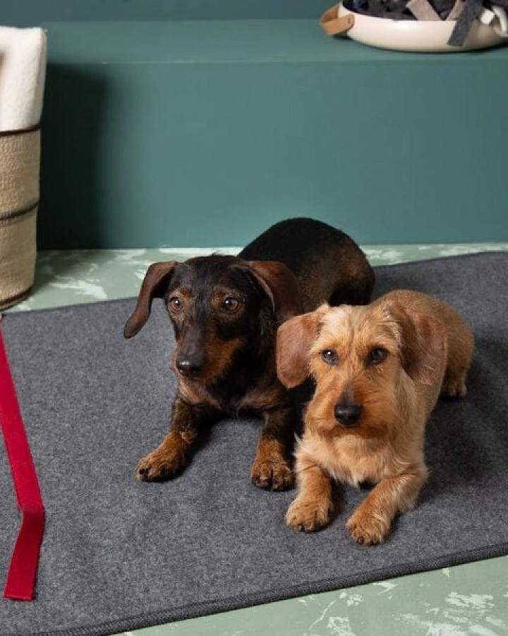 nahtur-design Hundematte