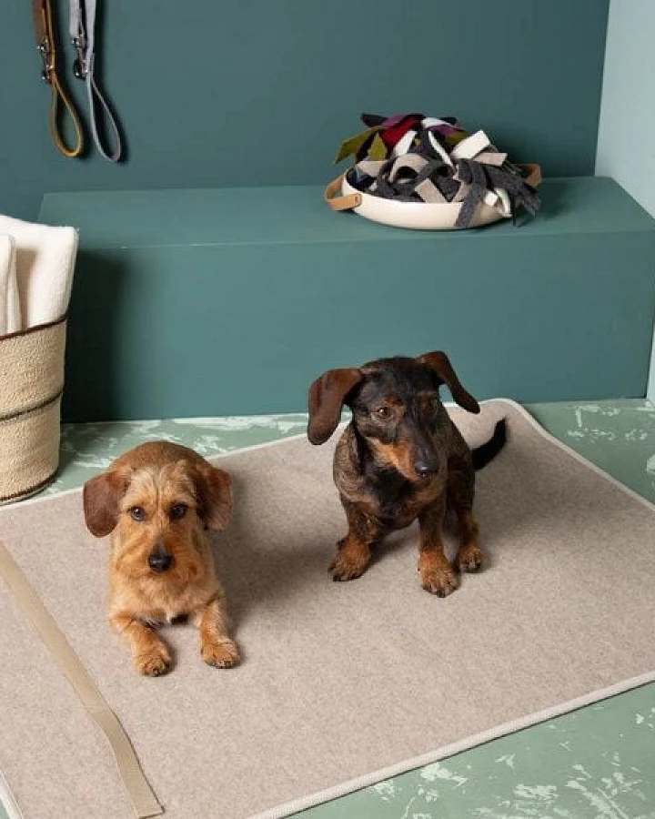 nahtur-design Hundematte