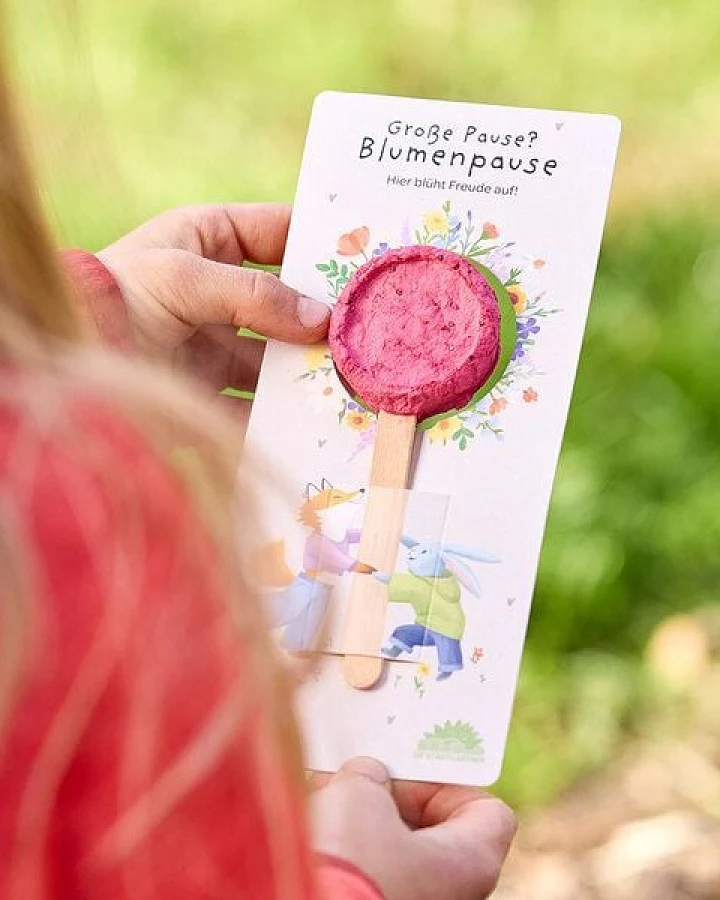 Die Stadtgärtner Blumenlolly mit Wildblumen-Saatgut