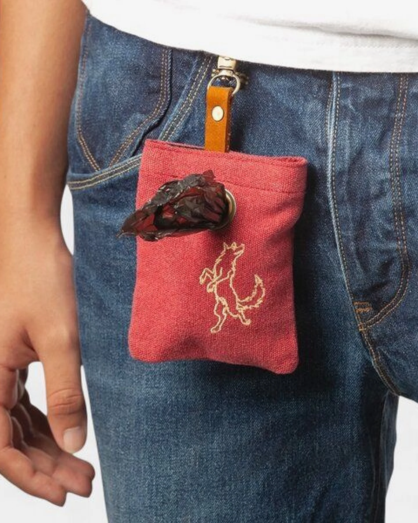 Dragolina Dog Poop Bag Poo – Ansicht 2