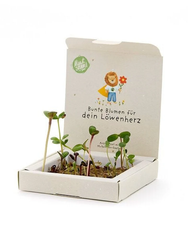Die Stadtgärtner Pflanzkästchen mit Wildblumen-Saatgut & Anzuchtmatte