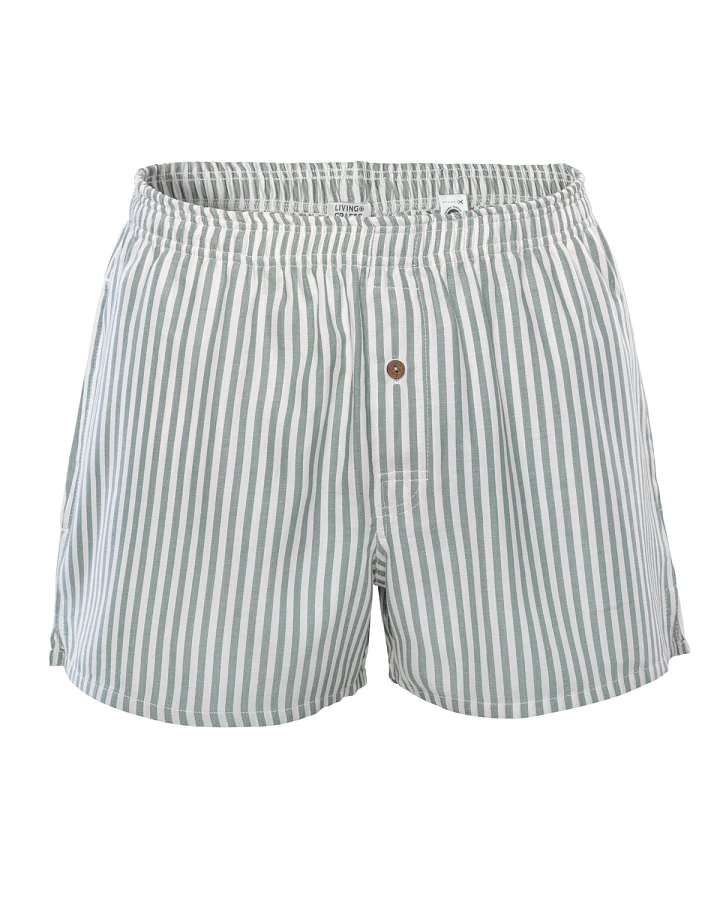 Herren Boxer-Shorts Gestreift