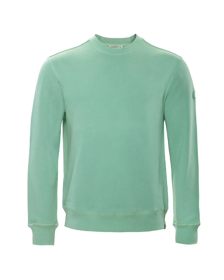 Herren Sweatshirt Grün