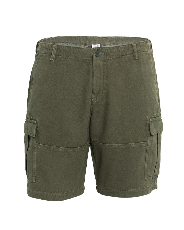 Herren Bermudas Grün