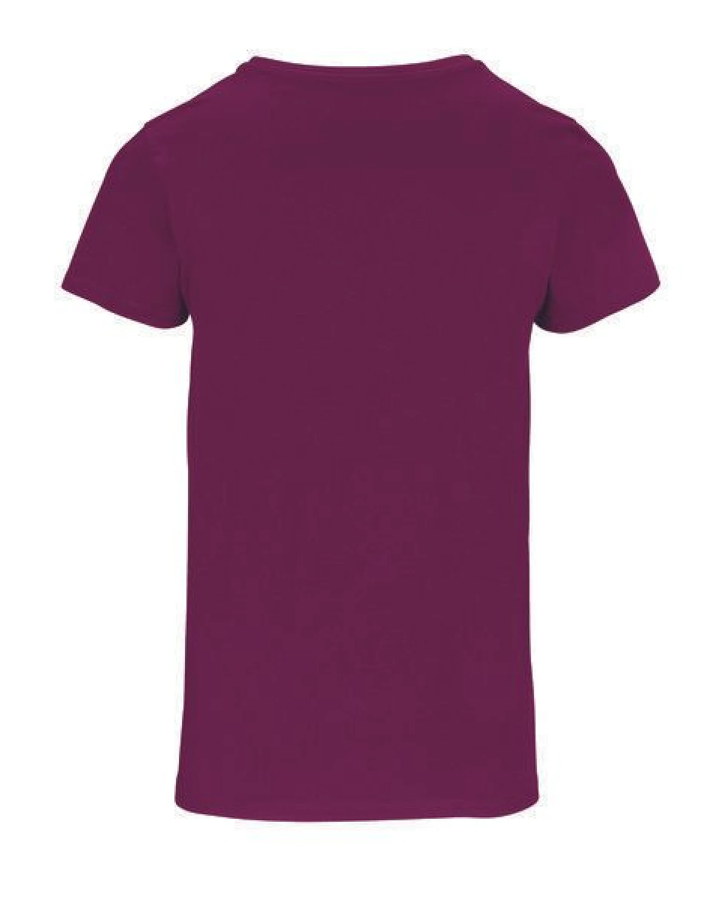 Sol's Damen T-Shirt Kurzarm Rundhals aus Bio - Baumwolle – Ansicht 3