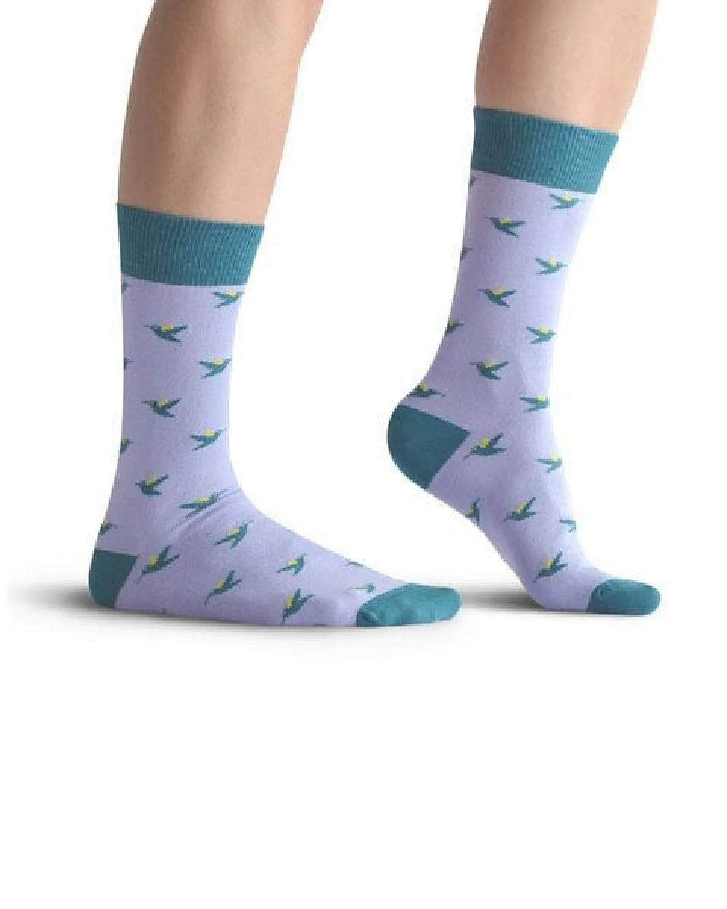 The Arctic Bay Bio-Baumwollsocken 4 Paar – Zefyr Edition – Doppelfadig, Weich & Bequem – Nachhaltig & Hergestellt in EU – Ansicht 3