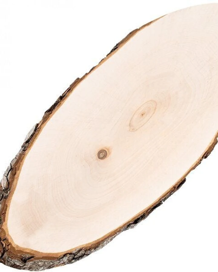 Biodora Baumscheibe Erle mit Rinde – Oval ca. 50 x 20 cm – PEFC-zertifiziert – Unikat zum Servieren & Dekorieren – Rustikales Naturprodukt