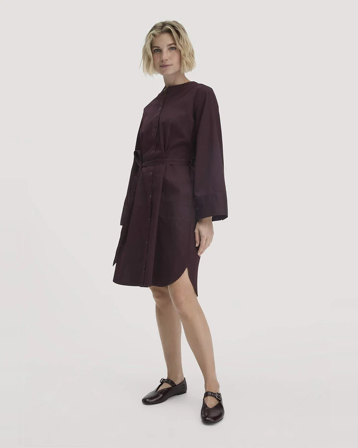 hessnatur Damen Kleid Relaxed aus Bio-Baumwolle - braun - Größe 34
