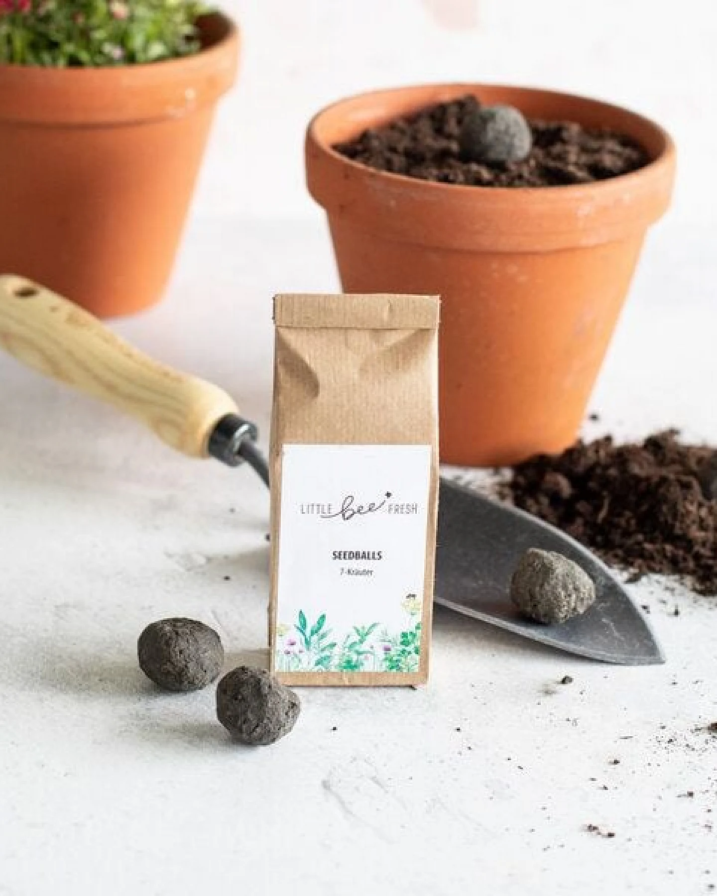 little bee fresh 7 St. Seedballs – wilde Kräuter – Ansicht 2