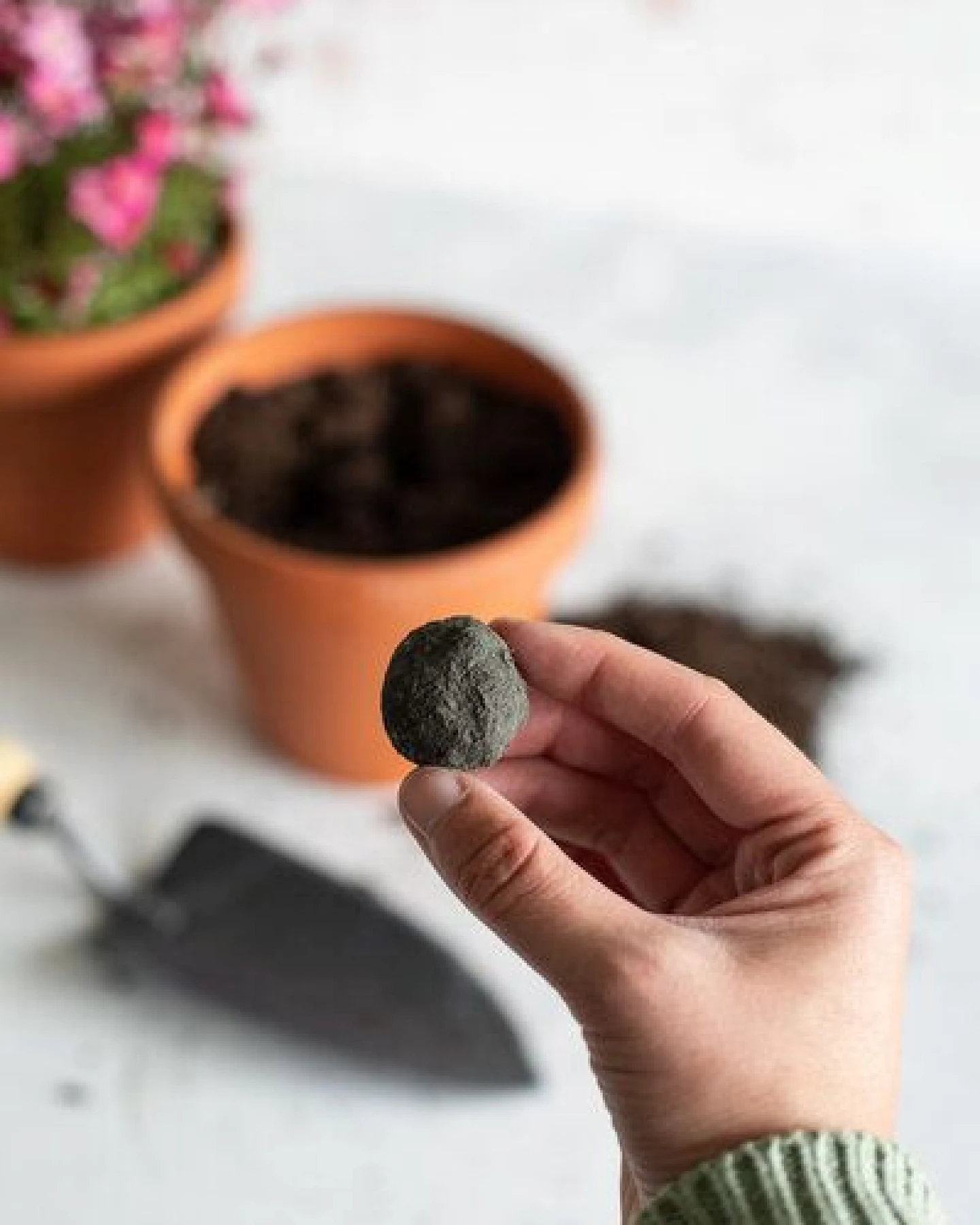 little bee fresh 7 St. Seedballs – wilde Kräuter – Ansicht 3