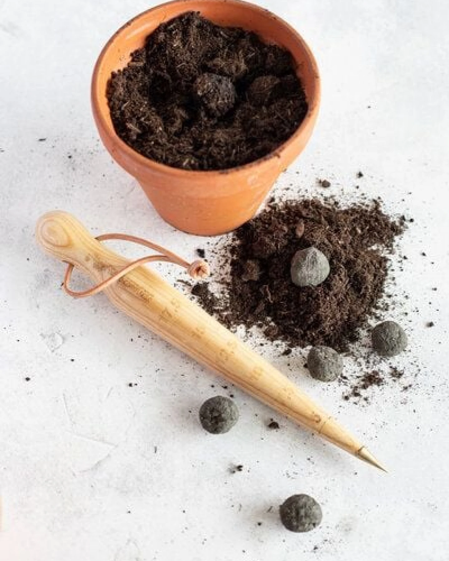 little bee fresh 7 St. Seedballs – wilde Kräuter – Ansicht 4