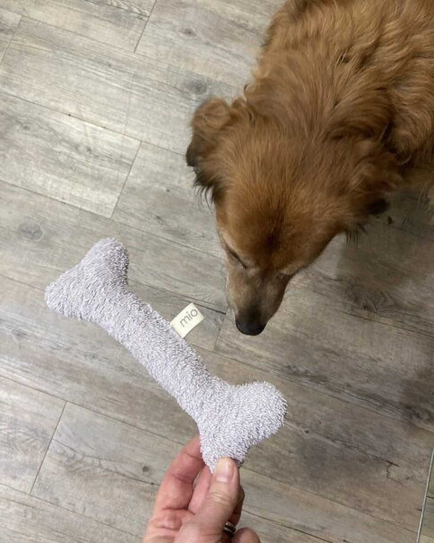 mio eco SET: Zwei hochwertige Upcycling Hundespielzeuge aus Hotel-Handtüchern zero waste rosa-weiss & grau-weiss – Ansicht 2