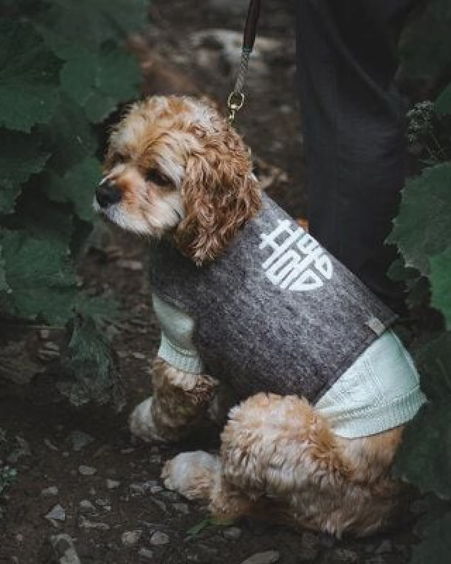 Wooliie Handgefertigte Hundeweste aus Schurwolle – Ansicht 4