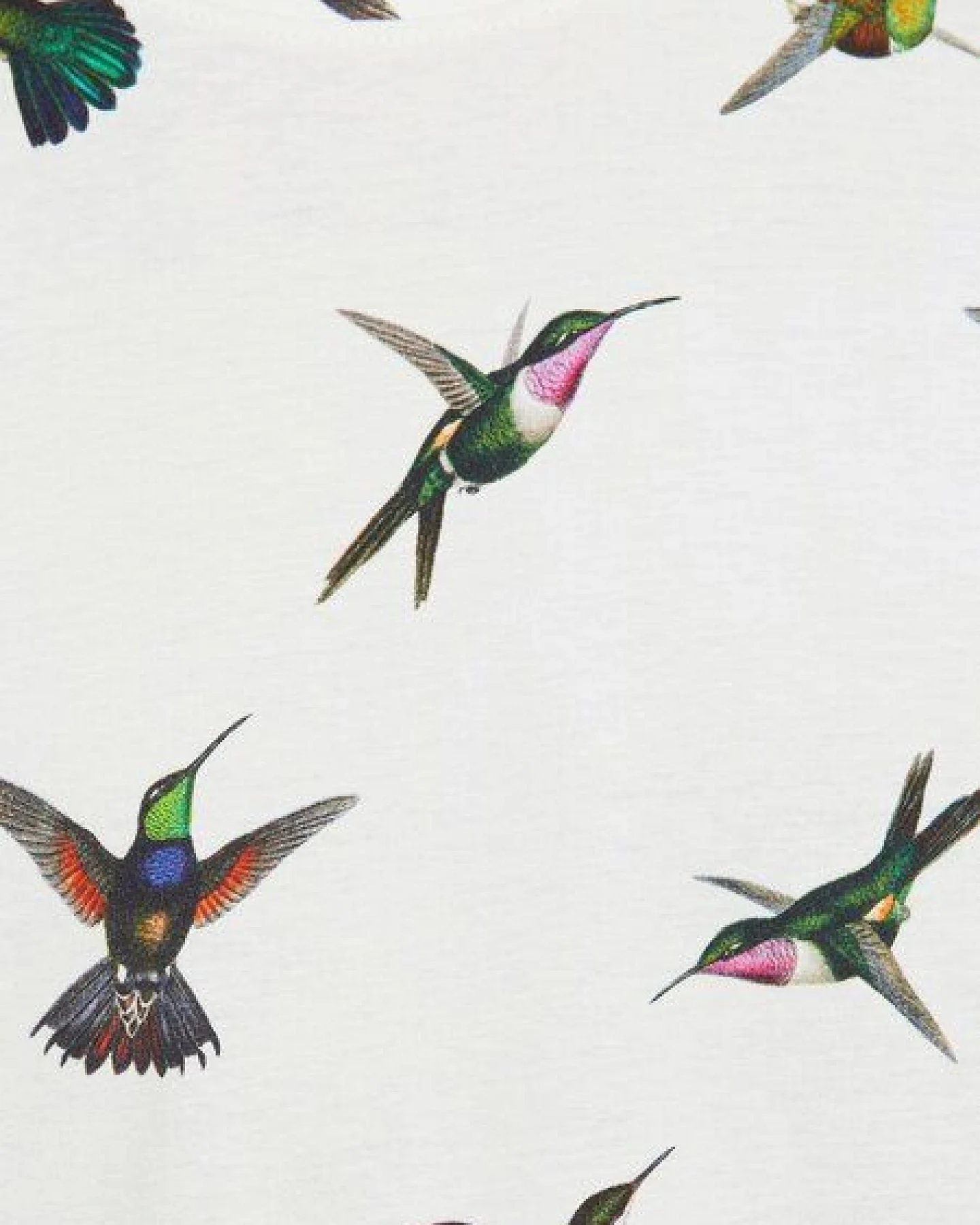 DEDICATED T-Shirt Hummingbirds – Ansicht 4