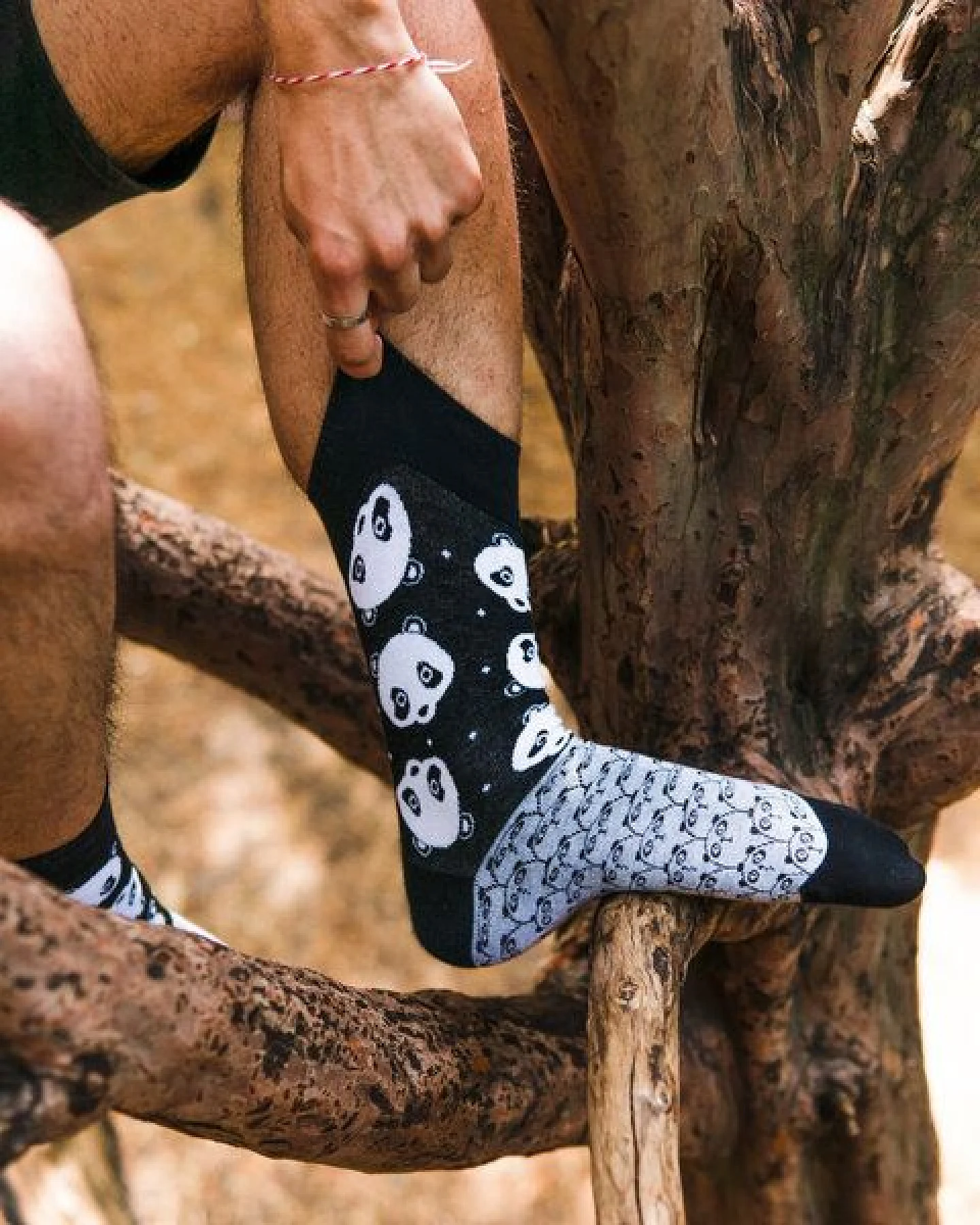Natural Vibes Panda Socken – Ansicht 3