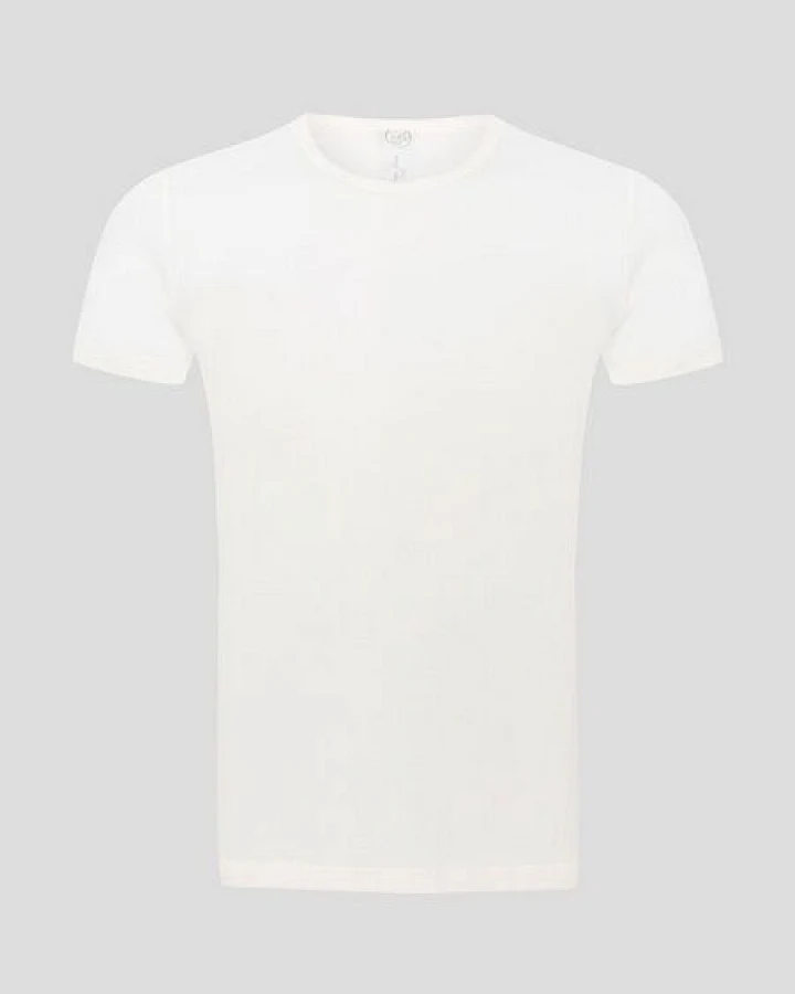 The Hemp Line T-Shirt aus Bio-Baumwolle mit Hanf (21026)