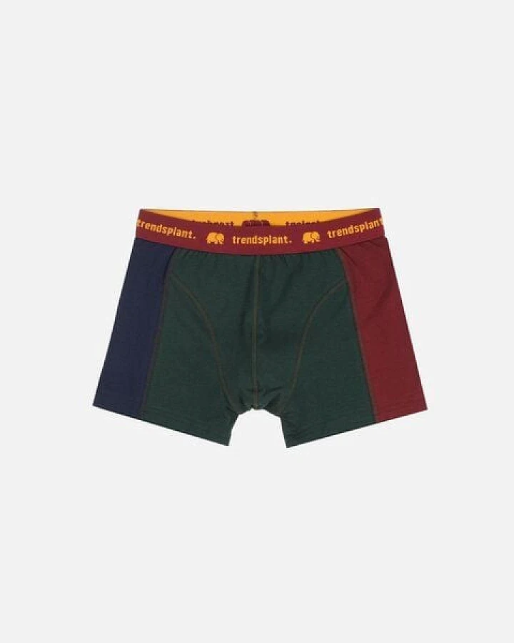 Trendsplant Organic Essential Boxer Briefs Color Block