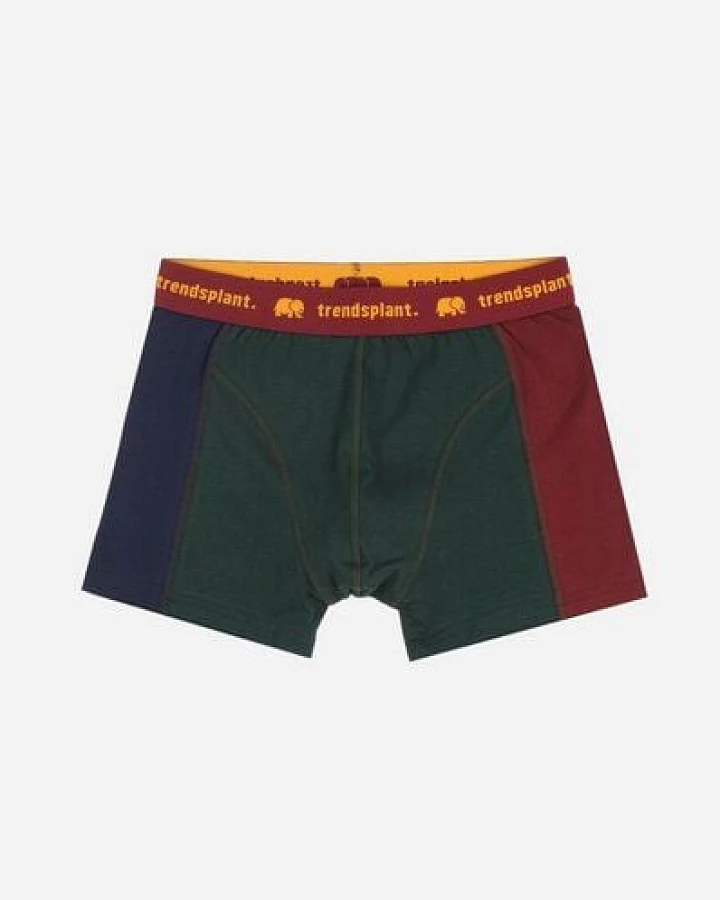 Trendsplant Organic Essential Boxer Briefs Color Block