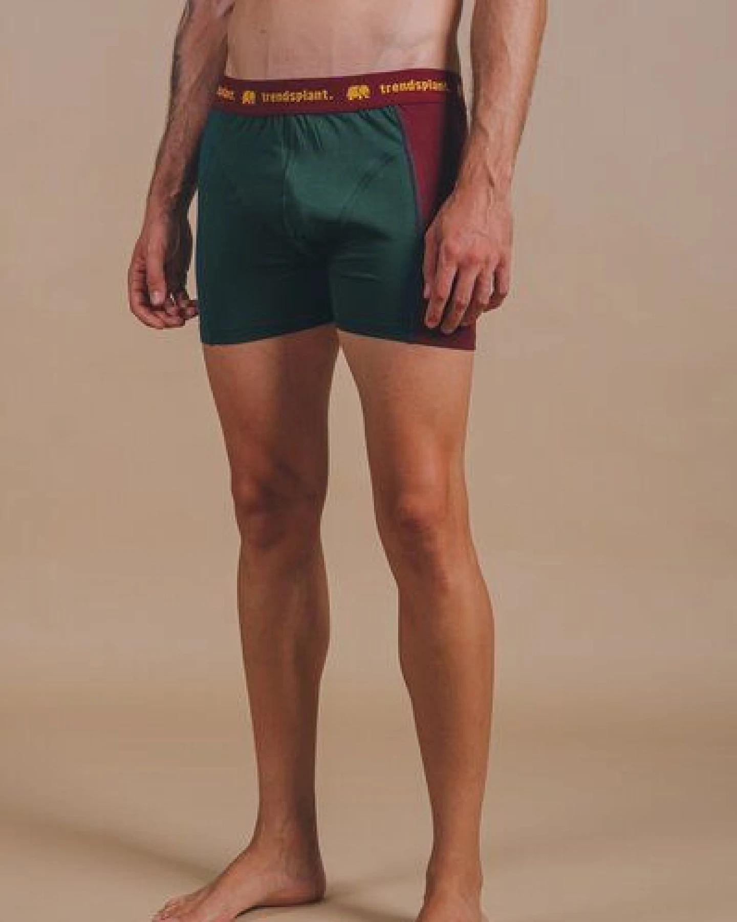 Trendsplant Organic Essential Boxer Briefs Color Block – Ansicht 4