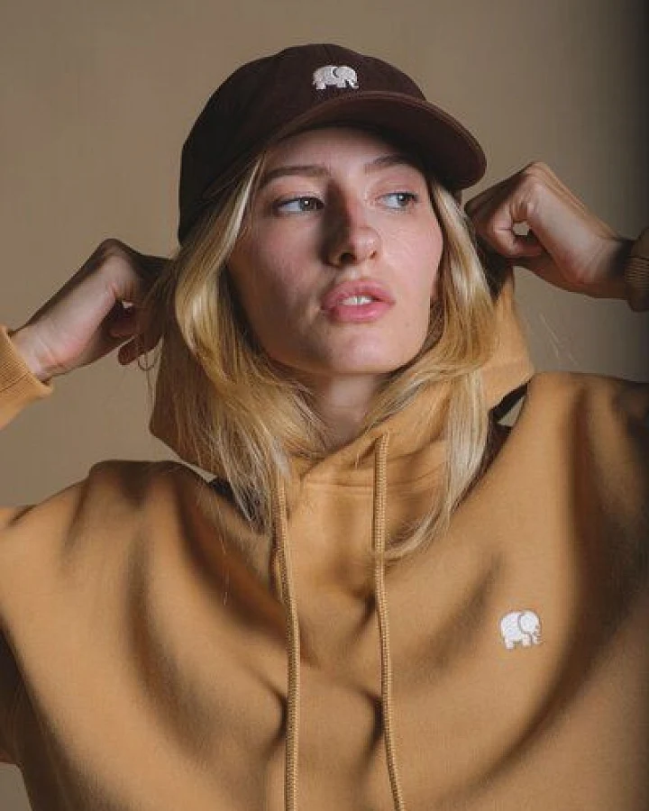 Trendsplant Women's Organic Essential Oversized Hoodie Apple Cinnamon