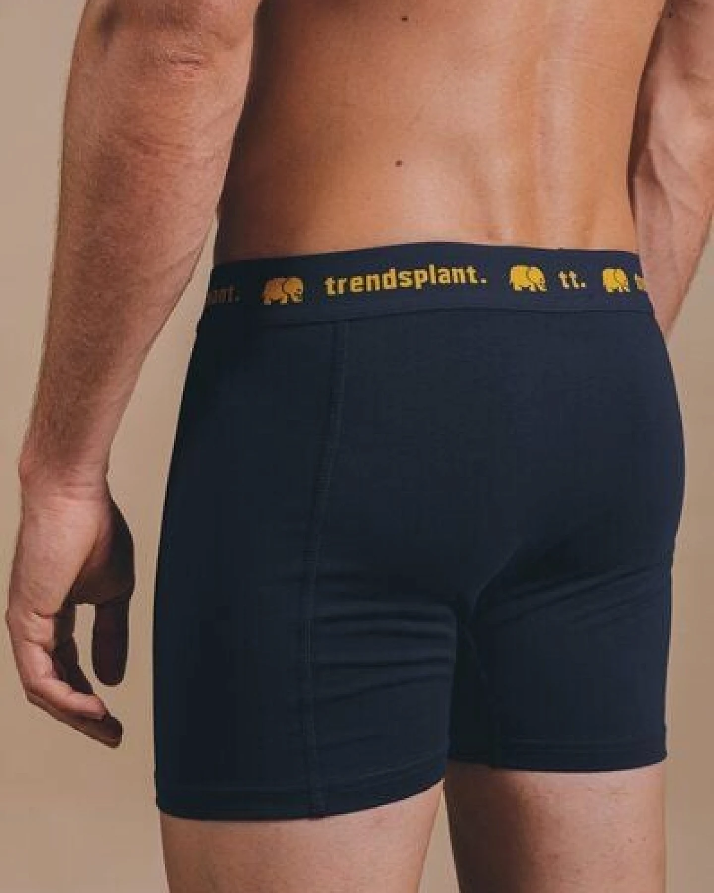 Trendsplant Organic Essential Boxer Briefs Navy – Ansicht 4