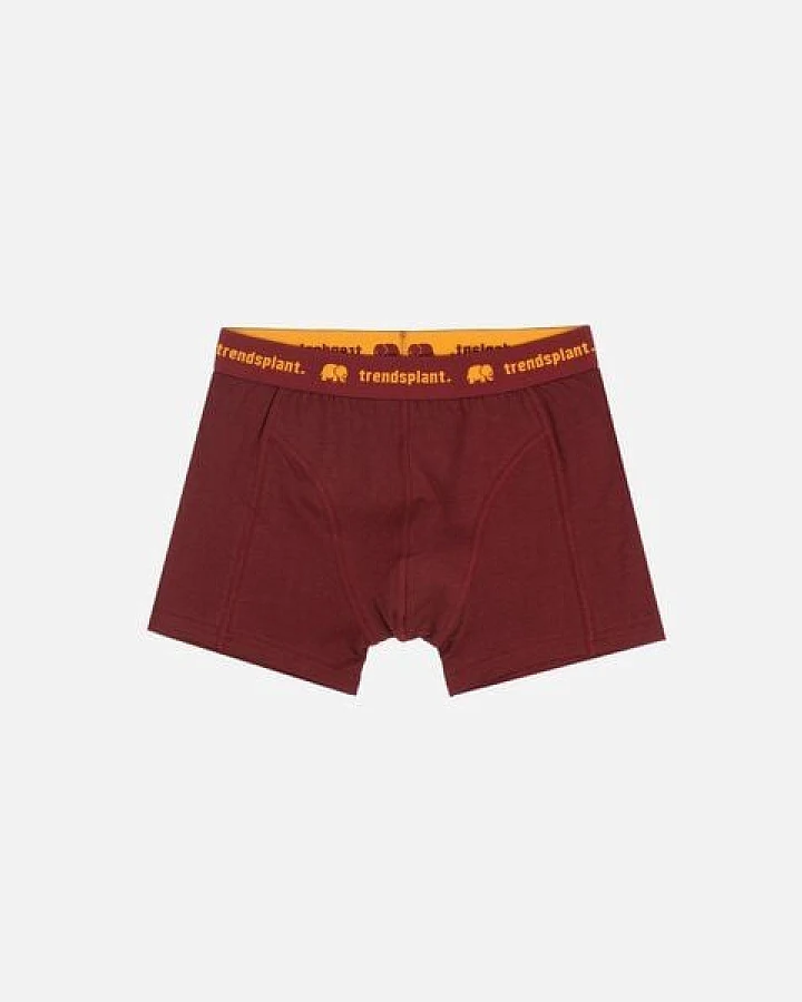 Trendsplant Organic Essential Boxer Briefs Burgundy